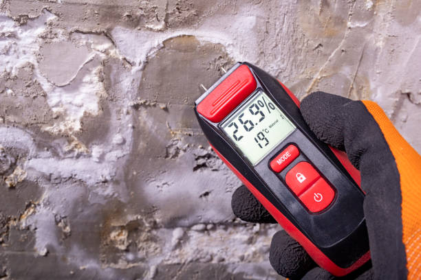 Best Water Damage Restoration  in Aledo, IL