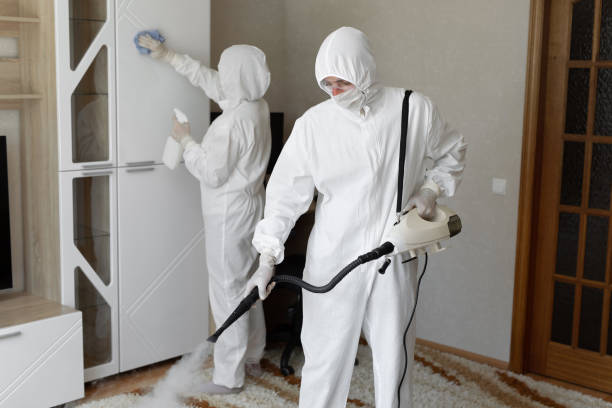 Best Residential Mold Removal  in Aledo, IL